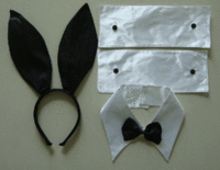 Naked Bunny Costume