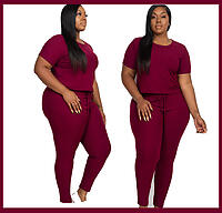 Burgundy Crop Top Long Pant Sets