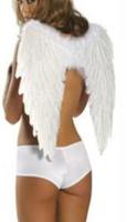 White Angel Wings